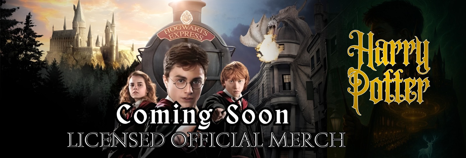Coming Soon Banner 2
